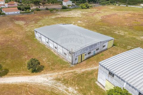 Farm i Pontevel, Santarem, Pontevel - € 1.700.000 | Ref: PE-123751241-136 - foto 7
