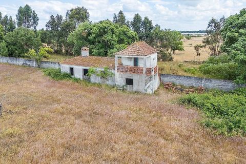 Farm i Pontevel, Santarem, Pontevel - € 1.700.000 | Ref: PE-123751241-136 - foto 10