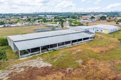 Farm i Pontevel, Santarem, Pontevel - € 1.700.000 | Ref: PE-123751241-136 - foto 13