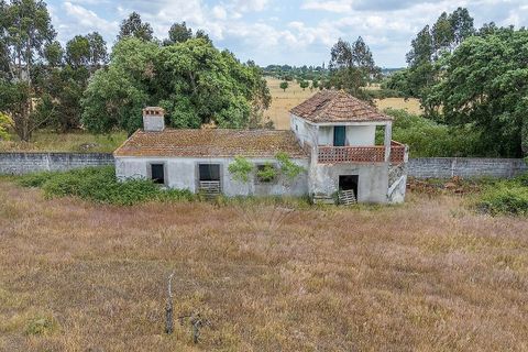 Farm i Pontevel, Santarem, Pontevel - € 1.700.000 | Ref: PE-123751241-136 - foto 14