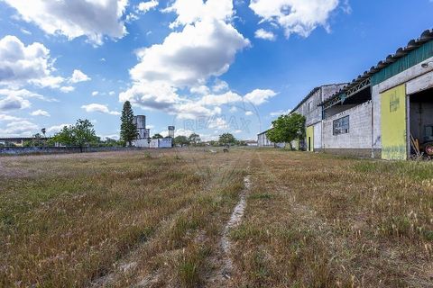 Farm i Pontevel, Santarem, Pontevel - € 1.700.000 | Ref: PE-123751241-136 - foto 15