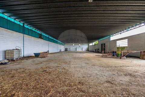 Farm i Pontevel, Santarem, Pontevel - € 1.700.000 | Ref: PE-123751241-136 - foto 16