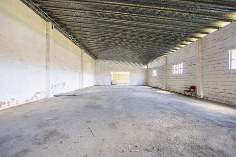 Farm i Pontevel, Santarem, Pontevel - € 1.700.000 | Ref: PE-123751241-136 - foto 20