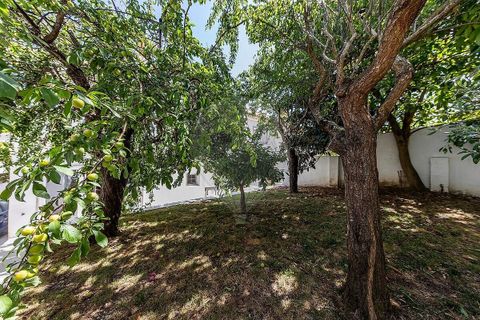Villa a Alvalade, Setubal, Alvalade - € 1.295.000 | Ref: PE-123751051-306 - foto 24