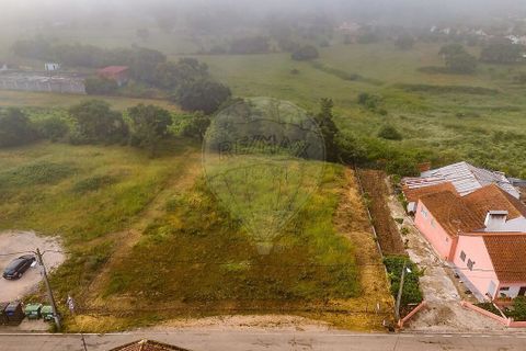 Helårsgrund i Tomar, Santarem, Tomar - € 39.000 | Ref: PE-123751738-1 - foto 5