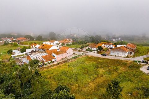 Helårsgrund i Tomar, Santarem, Tomar - € 39.000 | Ref: PE-123751738-1 - foto 9