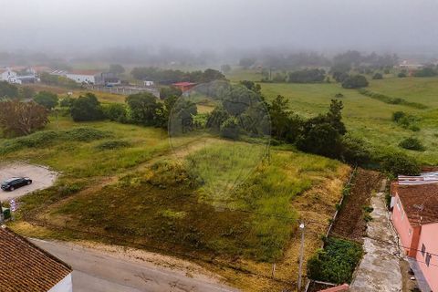 Helårsgrund i Tomar, Santarem, Tomar - € 39.000 | Ref: PE-123751738-1 - foto 11