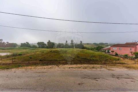 Helårsgrund i Tomar, Santarem, Tomar - € 39.000 | Ref: PE-123751738-1 - foto 12