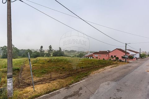 Helårsgrund i Tomar, Santarem, Tomar - € 39.000 | Ref: PE-123751738-1 - foto 13