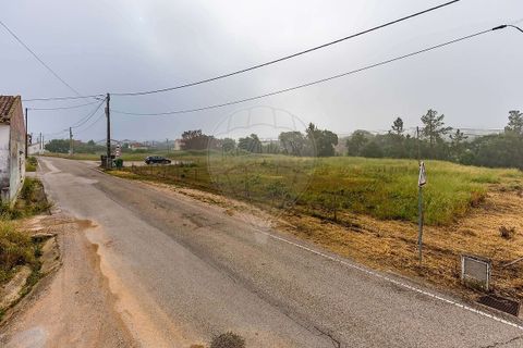 Helårsgrund i Tomar, Santarem, Tomar - € 39.000 | Ref: PE-123751738-1 - foto 14