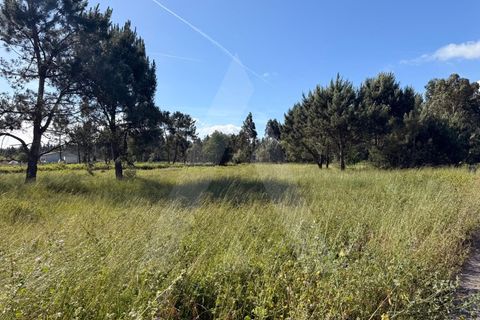 Helårsgrund i Arouca, Aveiro, Arouca - € 100.000 | Ref: 1012519/26 GL - foto 1