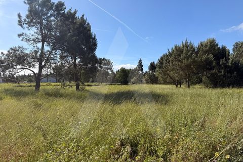 Helårsgrund i Arouca, Aveiro, Arouca - € 100.000 | Ref: 1012519/26 GL - foto 2