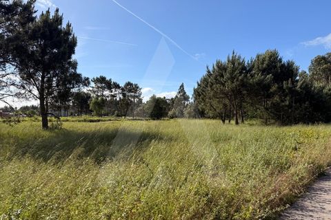 Helårsgrund i Arouca, Aveiro, Arouca - € 100.000 | Ref: 1012519/26 GL - foto 6