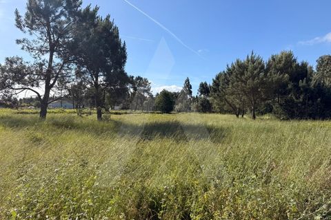 Helårsgrund i Arouca, Aveiro, Arouca - € 100.000 | Ref: 1012519/26 GL - foto 7