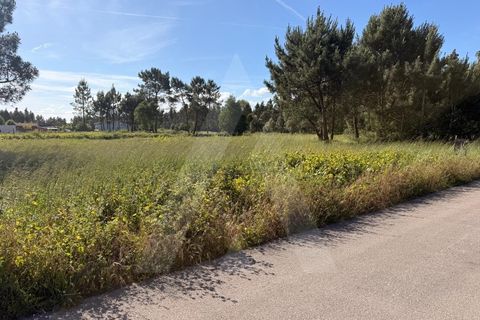 Helårsgrund i Arouca, Aveiro, Arouca - € 100.000 | Ref: 1012519/26 GL - foto 8