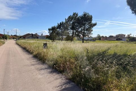 Helårsgrund i Arouca, Aveiro, Arouca - € 100.000 | Ref: 1012519/26 GL - foto 10