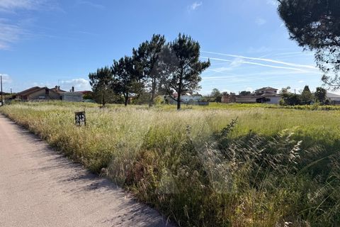 Helårsgrund i Arouca, Aveiro, Arouca - € 100.000 | Ref: 1012519/26 GL - foto 11