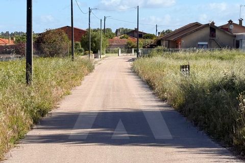 Helårsgrund i Arouca, Aveiro, Arouca - € 100.000 | Ref: 1012519/26 GL - foto 12