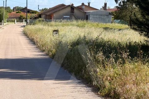 Helårsgrund i Arouca, Aveiro, Arouca - € 100.000 | Ref: 1012519/26 GL - foto 13