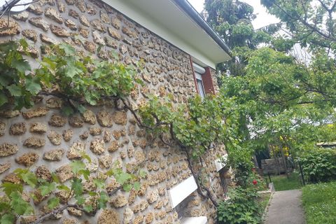 Estudi a Ris-Orangis, Essonne, Ris-Orangis - € 730/mes | Ref: 627729 - foto 2