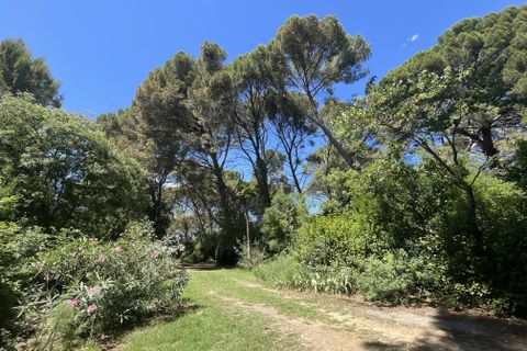Landejendom i Montpellier, Herault, Montpellier - € 3.200.000 | Ref: 0399-LA - foto 11
