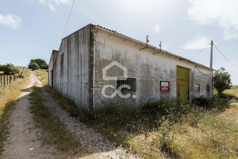 Farm hus i Arraiolos, Evora, Arraiolos - € 390.000 | Ref: 318/Q/03838 - foto 17