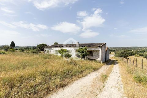 Farm hus i Arraiolos, Evora, Arraiolos - € 390.000 | Ref: 318/Q/03838 - foto 20