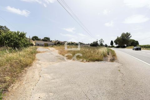 Farm hus i Arraiolos, Evora, Arraiolos - € 390.000 | Ref: 318/Q/03838 - foto 27
