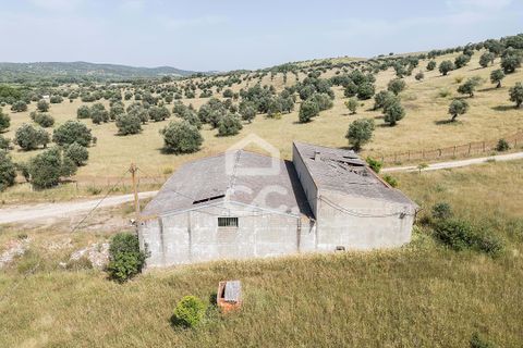 Farm hus i Arraiolos, Evora, Arraiolos - € 390.000 | Ref: 318/Q/03838 - foto 32