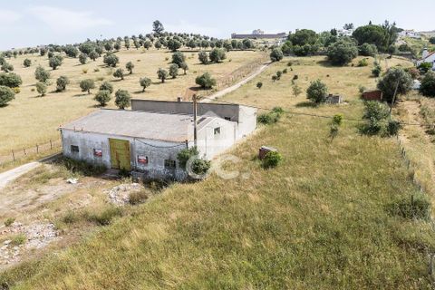 Farm hus i Arraiolos, Evora, Arraiolos - € 390.000 | Ref: 318/Q/03838 - foto 33