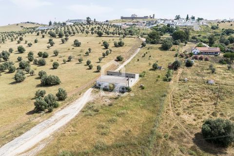 Farm hus i Arraiolos, Evora, Arraiolos - € 390.000 | Ref: 318/Q/03838 - foto 42