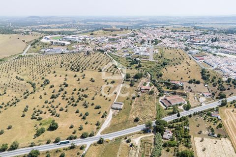Farm hus i Arraiolos, Evora, Arraiolos - € 390.000 | Ref: 318/Q/03838 - foto 47