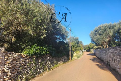 Terra a Bonifacio, Corse-du-Sud, Bonifacio - € 240.000 | Ref: BAV2M00102BAN - foto 8