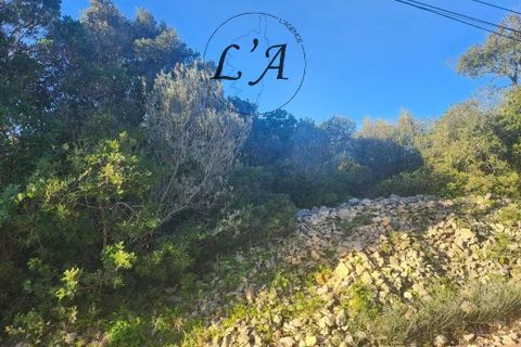 Terra a Bonifacio, Corse-du-Sud, Bonifacio - € 240.000 | Ref: BAV2M00102BAN - foto 10