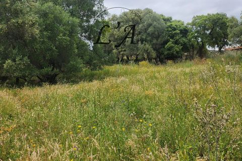 Grond in Afa, Corse-du-Sud, Afa - € 185.000 | Ref: BON1M0000AFA - foto 6
