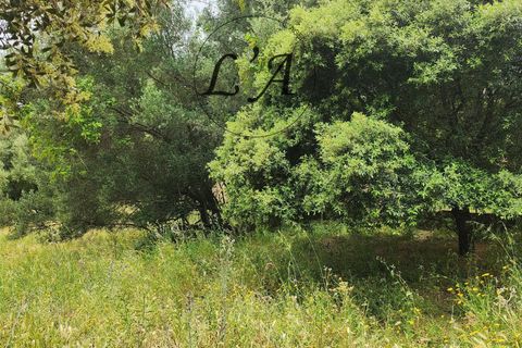 Grond in Afa, Corse-du-Sud, Afa - € 185.000 | Ref: BON1M0000AFA - foto 9