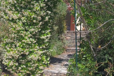 Villa i Tourrettes, Var, Tourrettes - € 785.000 | Ref: 2881 - foto 4
