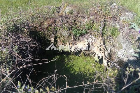 Farm i Castelo Branco, Castelo Branco, Castelo Branco - € 47.000 | Ref: PP4779 - foto 5
