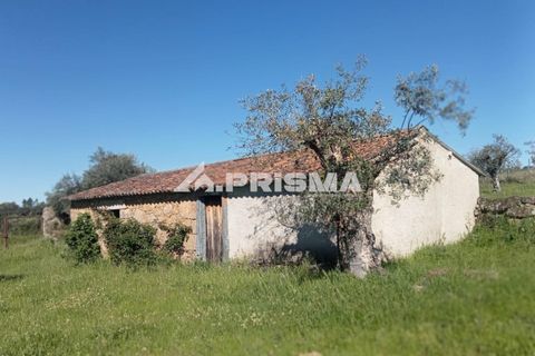 Farm i Castelo Branco, Castelo Branco, Castelo Branco - € 47.000 | Ref: PP4779 - foto 7
