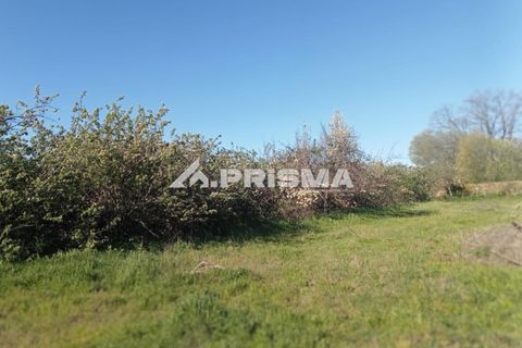 Farm i Castelo Branco, Castelo Branco, Castelo Branco - € 47.000 | Ref: PP4779 - foto 8