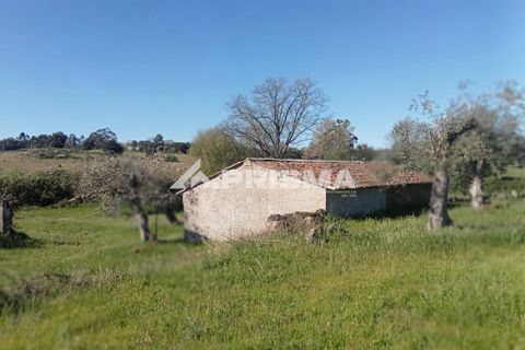 Farm i Castelo Branco, Castelo Branco, Castelo Branco - € 47.000 | Ref: PP4779 - foto 10