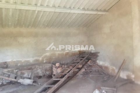 Farm i Castelo Branco, Castelo Branco, Castelo Branco - € 47.000 | Ref: PP4779 - foto 12