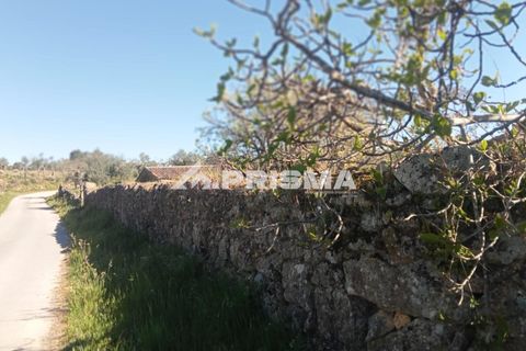 Farm i Castelo Branco, Castelo Branco, Castelo Branco - € 47.000 | Ref: PP4779 - foto 16