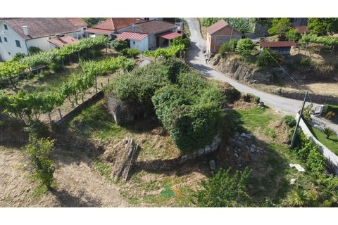 Villa i Arcos de Valdevez, Viana do Castelo, Arcos de Valdevez - € 45.000 | Ref: AVV-021-044 - foto 15