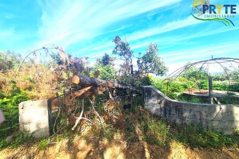 Farm i Serta, Castelo Branco, Serta - € 17.000 | Ref: AS160 - foto 2