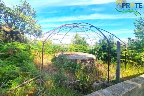Farm i Serta, Castelo Branco, Serta - € 17.000 | Ref: AS160 - foto 3