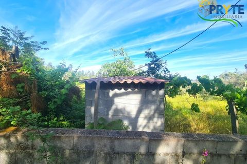 Farm i Serta, Castelo Branco, Serta - € 17.000 | Ref: AS160 - foto 4