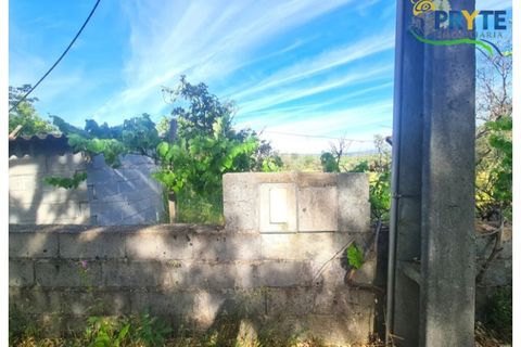 Farm i Serta, Castelo Branco, Serta - € 17.000 | Ref: AS160 - foto 5