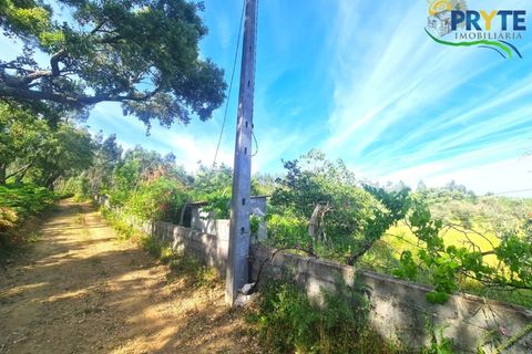 Farm i Serta, Castelo Branco, Serta - € 17.000 | Ref: AS160 - foto 6