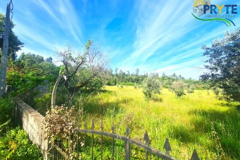 Farm i Serta, Castelo Branco, Serta - € 17.000 | Ref: AS160 - foto 7